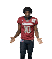 rheinfire football fire touchdown elf Sticker