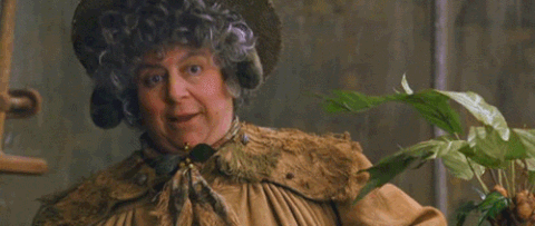 neville longbottom GIF