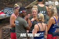 imacelebrityau GIF by I'm A Celebrity... Get Me Out Of Here! Australia