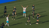 No Way What GIF by National Women's Soccer League