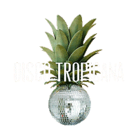 Saturday Giovinazzo Sticker by Pascia Beach Bar