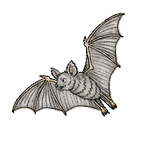 Fly Hover Sticker