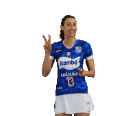 minastc volleyball volei minas minas tenis clube Sticker