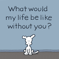 chippythedog love dogs i love you i miss you GIF