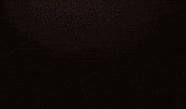 Bitcoin Crypto GIF by RGT Cycling