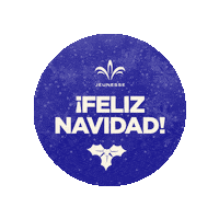 Felicesfiestas Felizanonuevo Sticker by Jeunesse Argentina
