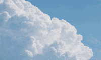 steph_b flowers sky clouds surrealism GIF