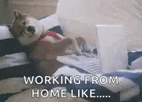 Corona Working From Home GIF by MOODMAN