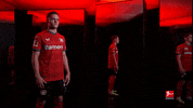 Leverkusen B04 GIF by Bundesliga