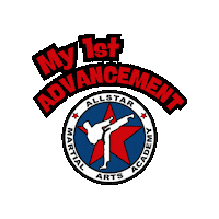 Martial Arts Taekwondo Sticker by AllstarMartialArtsAcademy