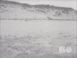 Making Beach Day GIF by Beeld & Geluid