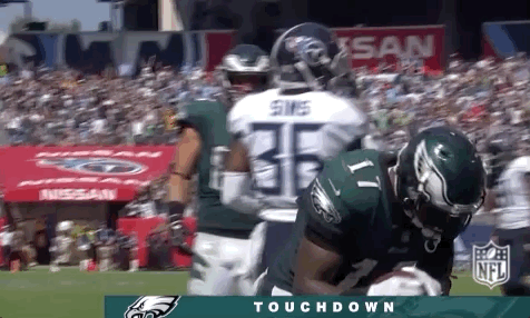 philadelphia eagles football GIF by NFL