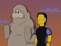 Episode 1 GIF by The Simpsons