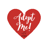 Adopt Animal Rescue Sticker by Cat Depot