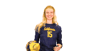 Uc Berkeley Volleyball Sticker by Cal Athletics