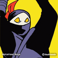 Skateboard Ninja GIF by VeeFriends