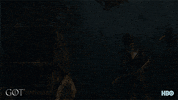 season 8 GIF by Game of Thrones