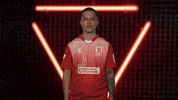 Ssv Jahn Regensburg Vbl GIF by Bundesliga