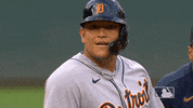 Major League Baseball Reaction GIF by Detroit Tigers