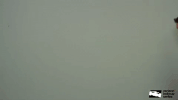 indy 500 hello GIF by Paddock Insider