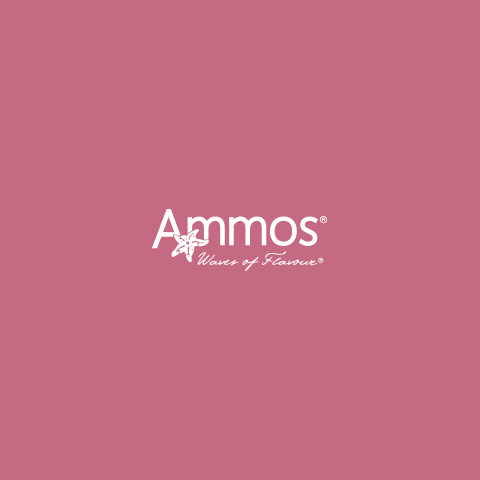 AmmosGroup giphyupload ammos ammos group ammos javea GIF