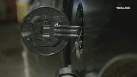 viceland GIF by Payday