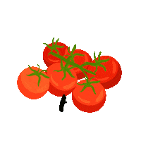 Tomaten Sticker