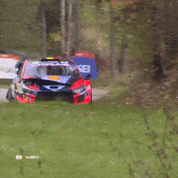 Speeding No Problem GIF by FIA World Rally Championship