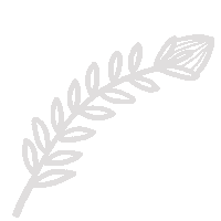 sowingground flower arrow plant plants Sticker