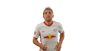 Knock Knock Hello Sticker by RB Leipzig