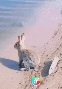 Gracias Buenos Dias GIF by Murcianys LLC