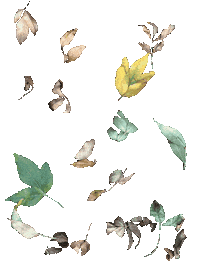 Changing Falling Leaves Sticker
