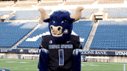 Big Blue Smh GIF by Utah State University
