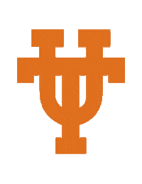 Texas Longhorns Austin Sticker by Texas BBA Program