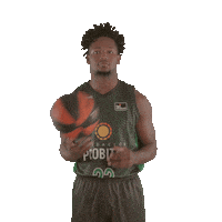 Balling Liga Endesa Sticker by ACB