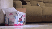Jointhekult Stay Hydrated GIF by Kult