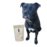 Sticker by 4 Paws Natural Treats