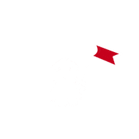 Flag Finance Sticker by Nexeo _ Business consulting and IS Transformation