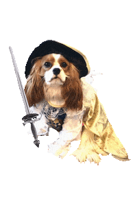 Dougalthe Sticker