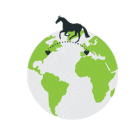 Horseflight hf twohearts greenwing horseworld Sticker