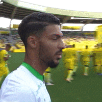 Football Sport GIF by AS Saint-Étienne