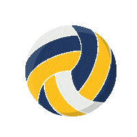 westerwald_volleys www ball Sticker