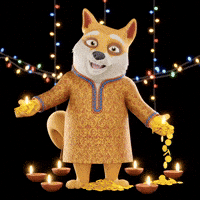 Happy Shiba Inu GIF by Doge Pound