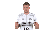 Handball-Bundesliga Top Sticker by LIQUI MOLY HBL