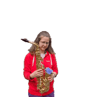 Instrument Saxophon Sticker by Nordbayerischer Musikbund & Nordbayerische Bläserjugend