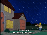 Season 1 Episode 13 GIF by The Simpsons