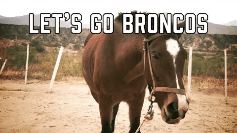 Denver Broncos Football GIF by Sealed With A GIF