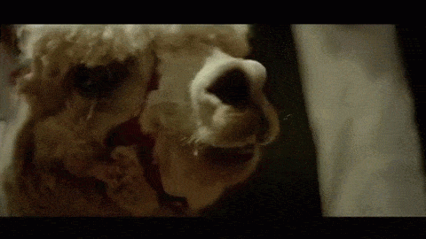 drunk old men GIF by The Leith Agency