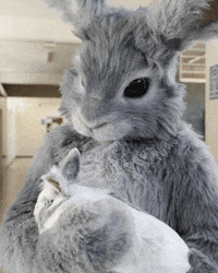 Proud Pride GIF by Tubi