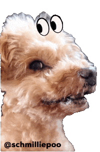 Famous Dog Side Eye Sticker